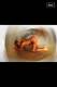 Private Photo of rubina22