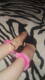 Private Photo of dolce_bimba