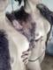 Private Photo of MadameBovary90