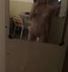 Send nude