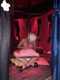 Private Photo of BellaMonella88