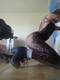 Private Photo of NIKITA_07