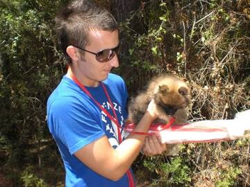 Foto publica di piske84